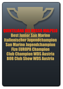 QUINTILIANA DEL ROSSO MALPELO Best Junior San Marino Italienischer Jugendchampion San Marino Jugendchampion Fize EUROPA Champion Club Champion WDS Austria BOB Club Show WDS Austria