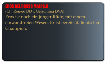 EROS DEL ROSSO MALPELO (Ch. Romeo DD x Gelsomina DVA) Eros ist noch ein junger Rde, mit einem einwandfreien Wesen. Er ist bereits italienischer  Champion.