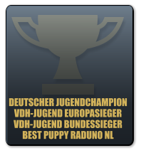 DEUTSCHER JUGENDCHAMPION VDH-JUGEND EUROPASIEGER VDH-JUGEND BUNDESSIEGER BEST PUPPY RADUNO NL