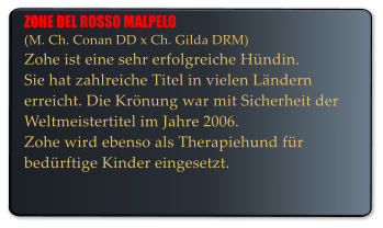 ZOHE DEL ROSSO MALPELO (M. Ch. Conan DD x Ch. Gilda DRM) Zohe ist eine sehr erfolgreiche Hndin. Sie hat zahlreiche Titel in vielen Lndern  erreicht. Die Krnung war mit Sicherheit der  Weltmeistertitel im Jahre 2006. Zohe wird ebenso als Therapiehund fr bedrftige Kinder eingesetzt.